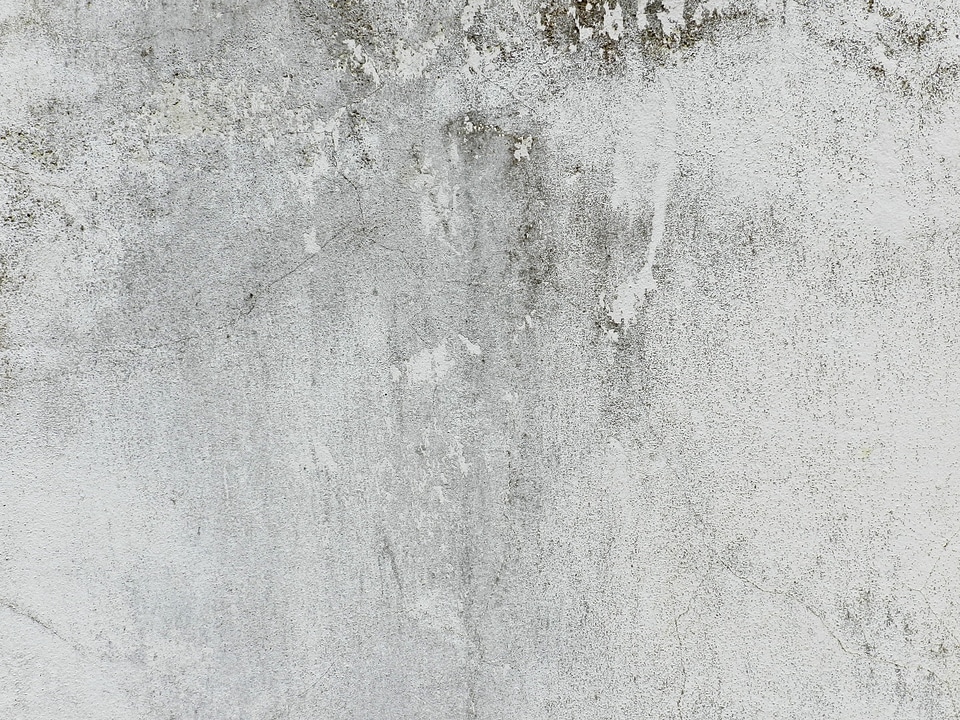 Gray white black