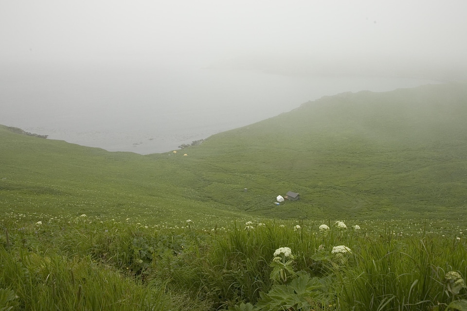Bearing foggy island