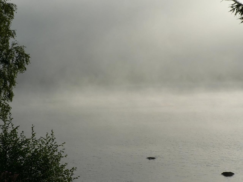 Lake mist morning