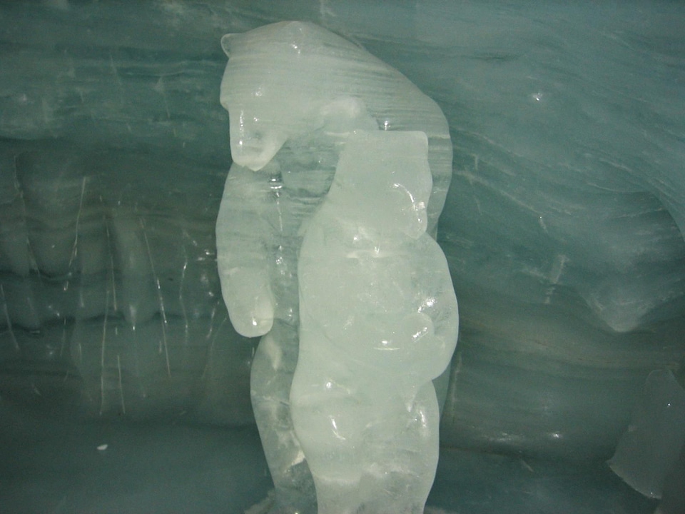 Ice statue 