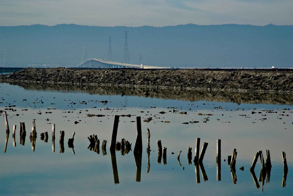 Perspective water 