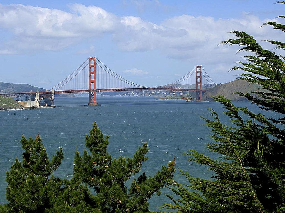 Bridge  
