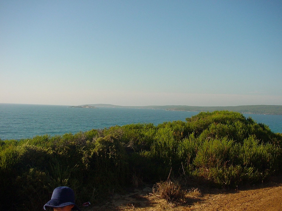 Camp nature panorama