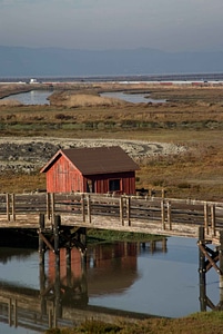 Boot domestic home
