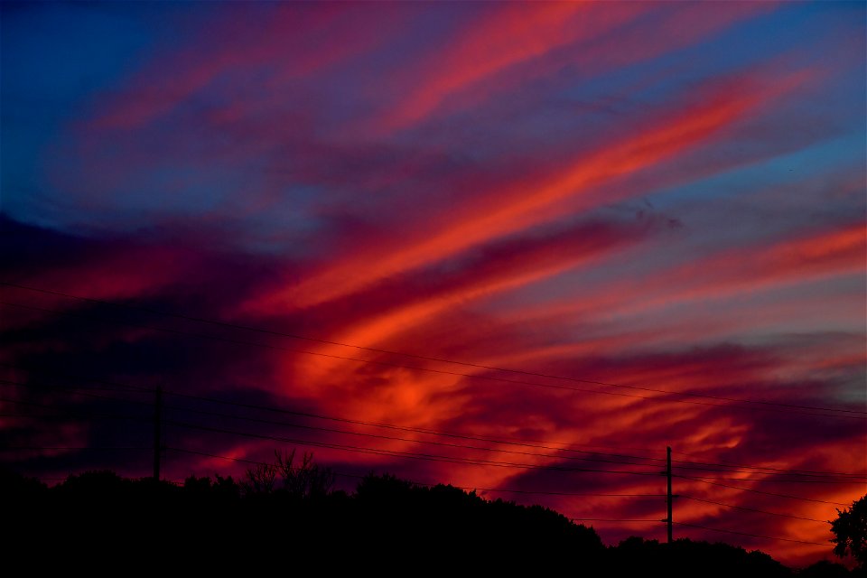 DSC_8512