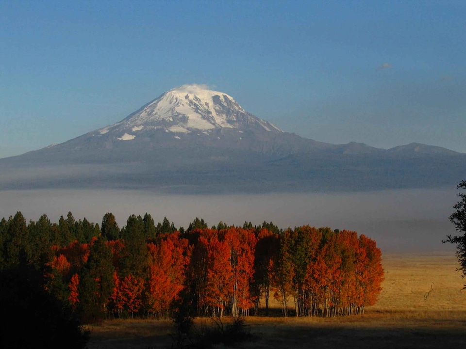 Autumn colorful spectacular