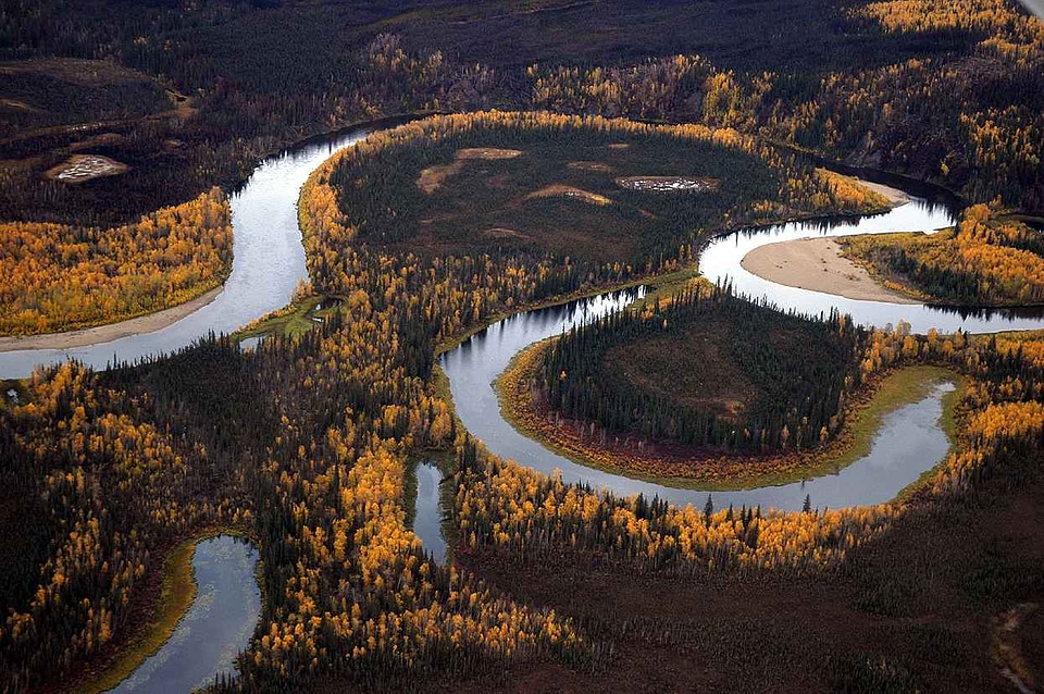 Autumn nature 