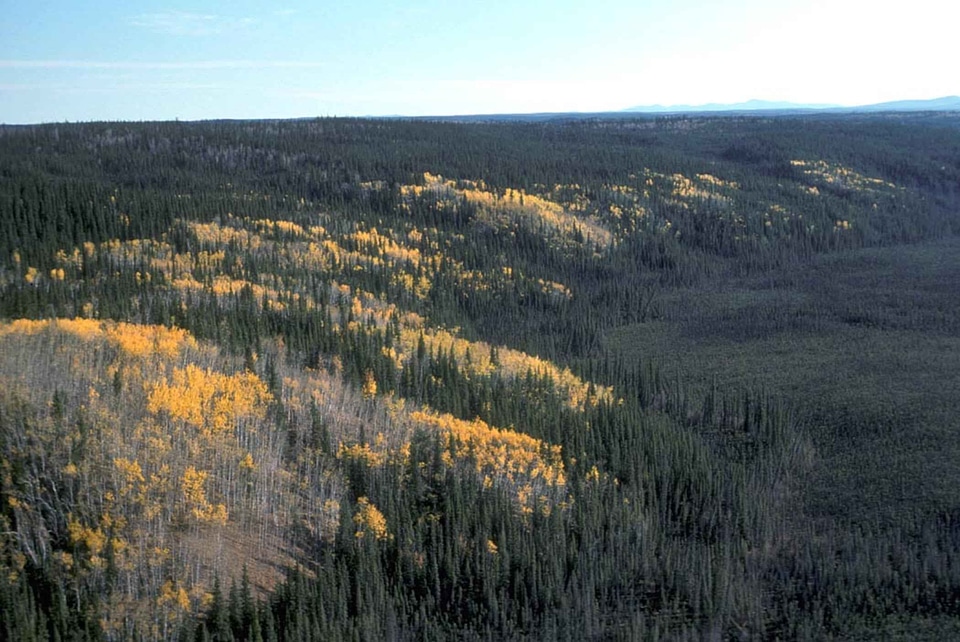 Autumn camp scenic