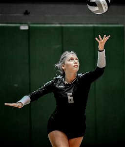 DSC_1734_1