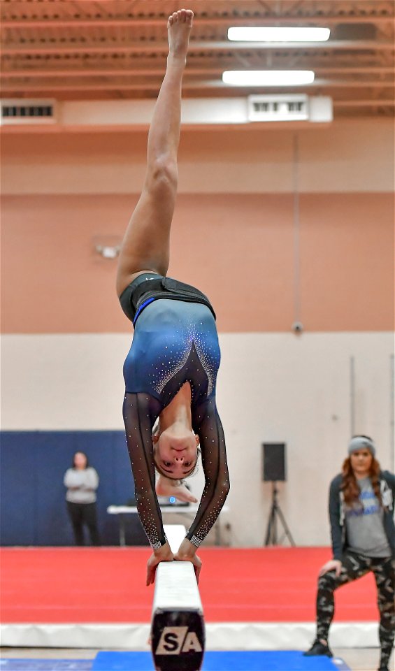 DSC_3602_1