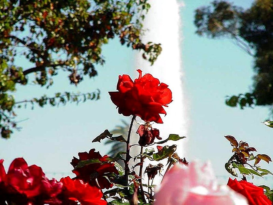 Balboa garden park