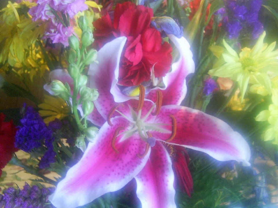 Assortment flowers lily