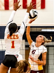 DSC_1165_1