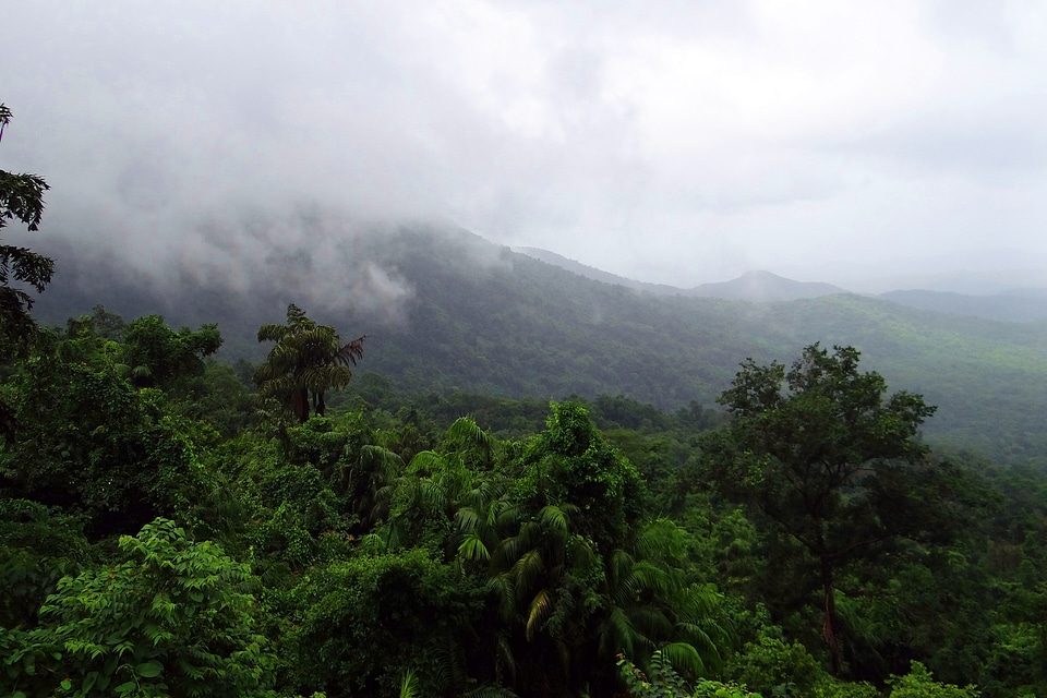 Mountains vegetation clouds