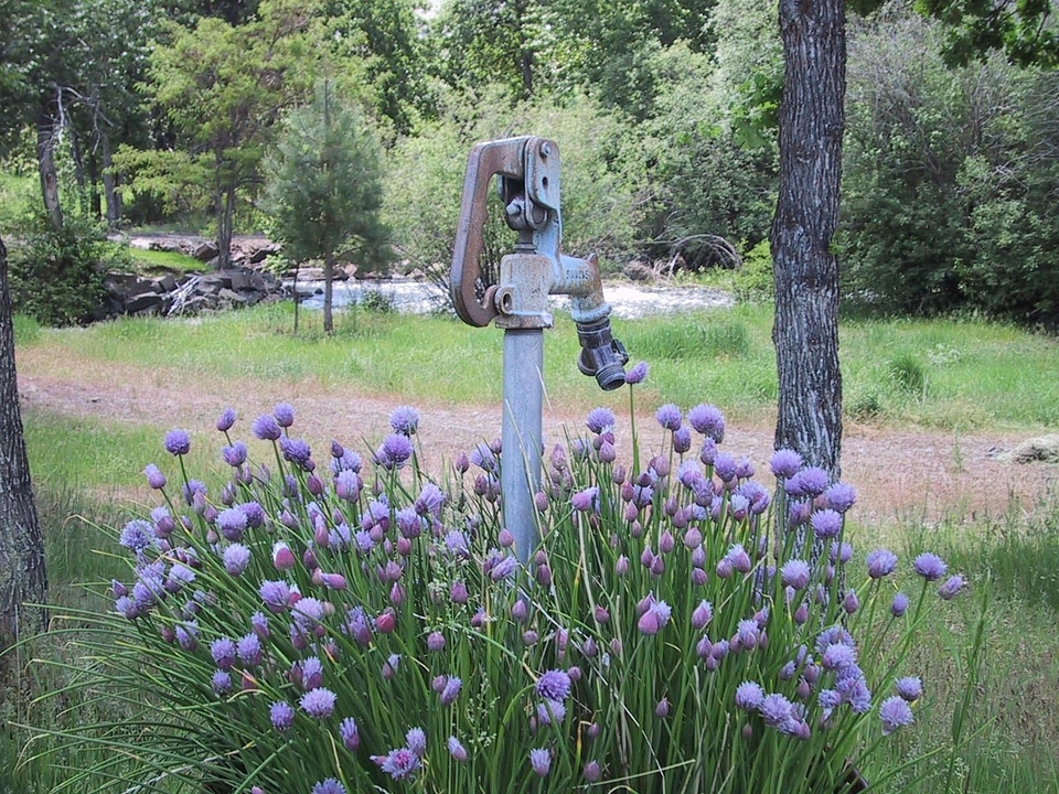 Flowers waterspout 