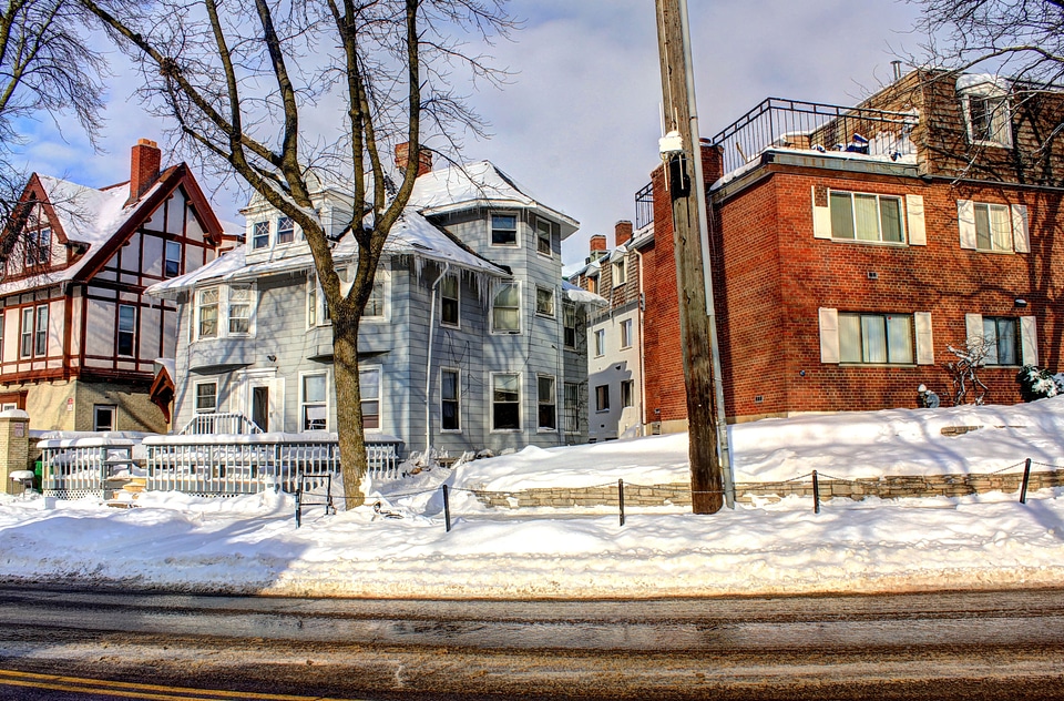 Usa langdon winter