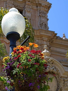 Flowers lamp park