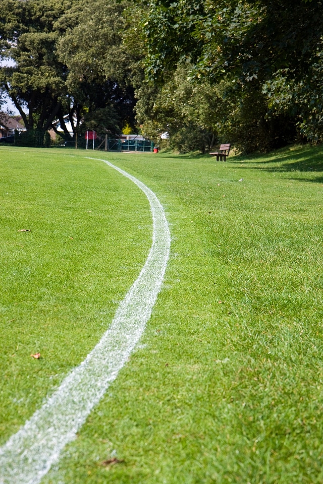 Boundary marker green