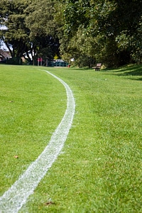 Boundary marker green