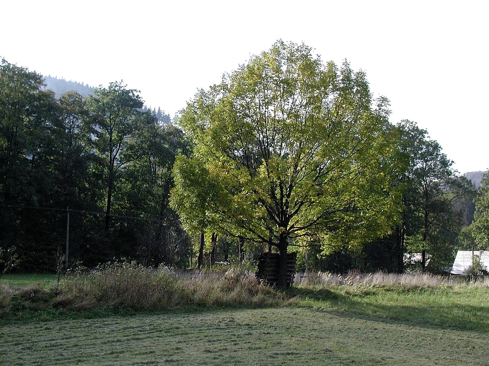 Domestic national park park