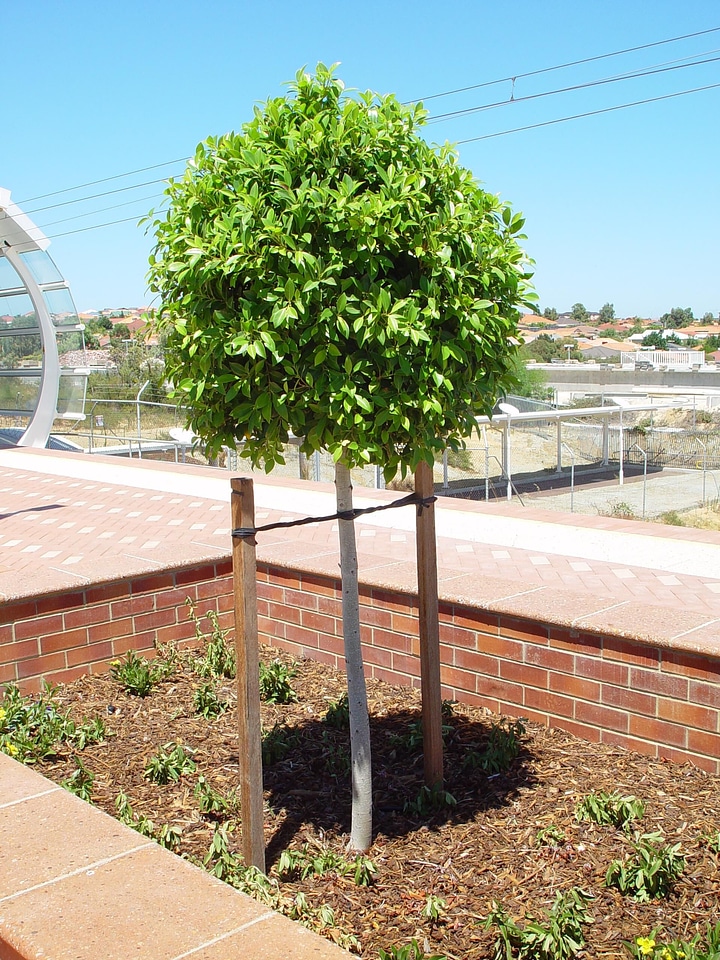 Brick outdoor planter