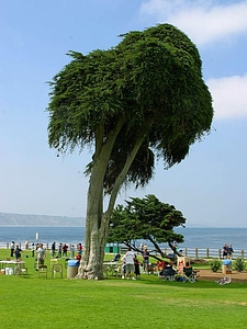 Park  