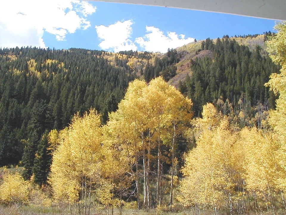 Autumn footstep road