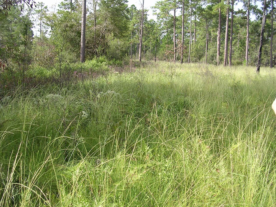 Habitat  
