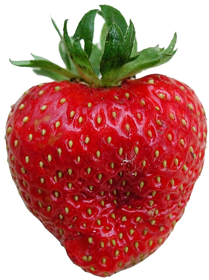 Cutter fruit 