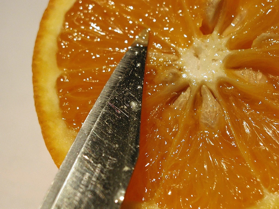 Citrus fruit orange