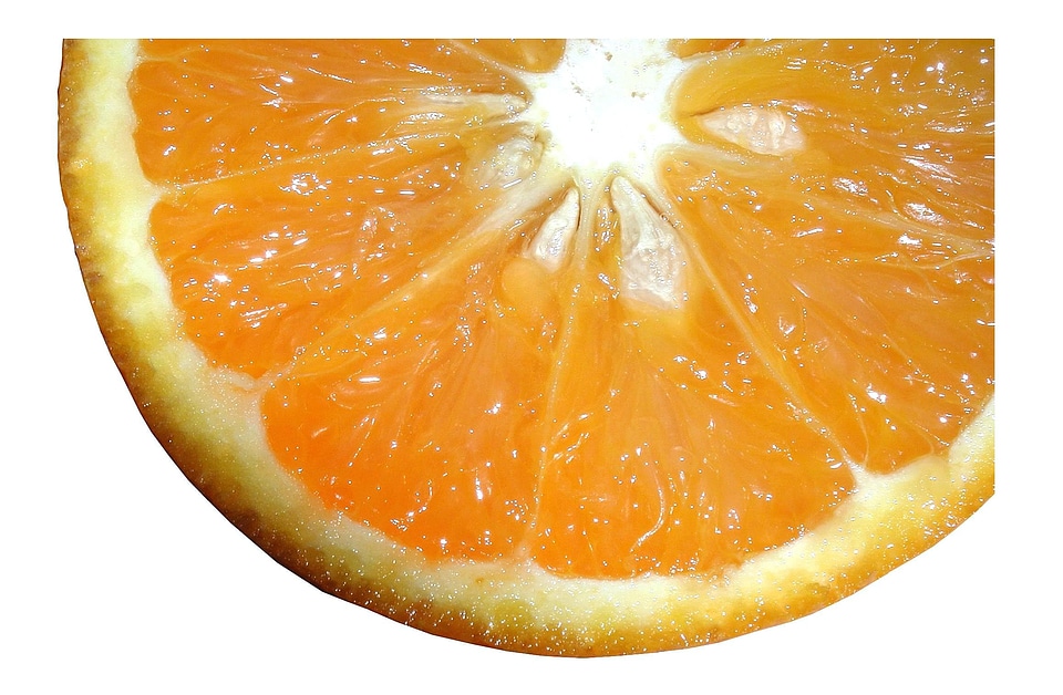 Citrus fruit orange