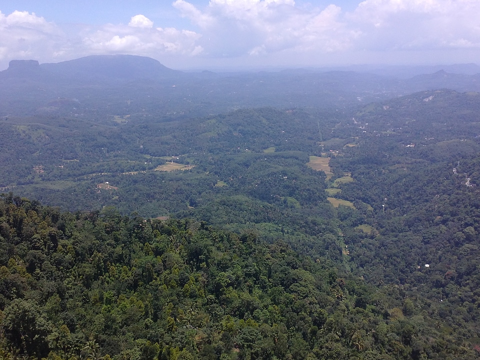 Landscape wilderness scenery