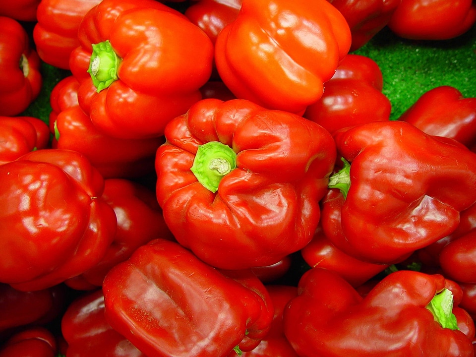 Bell Pepper greenery red