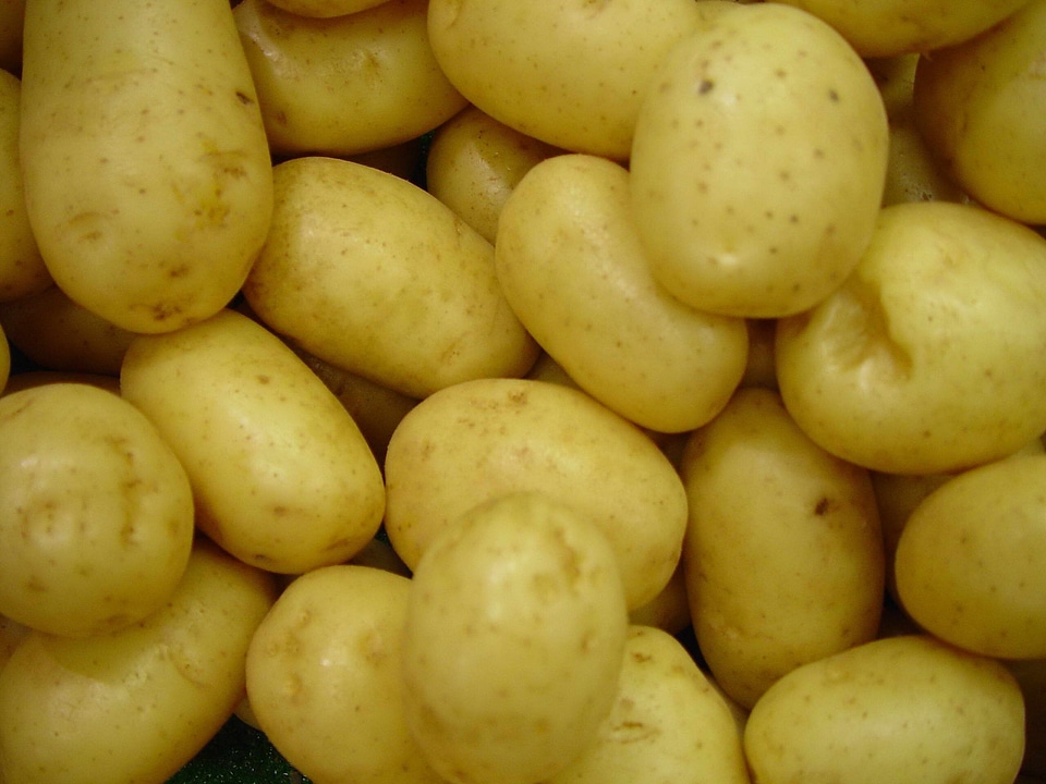Greenery potatoes yellow