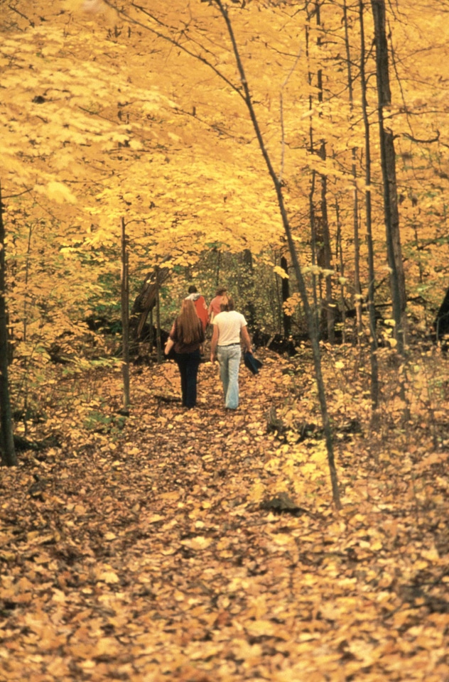 Autumn going people