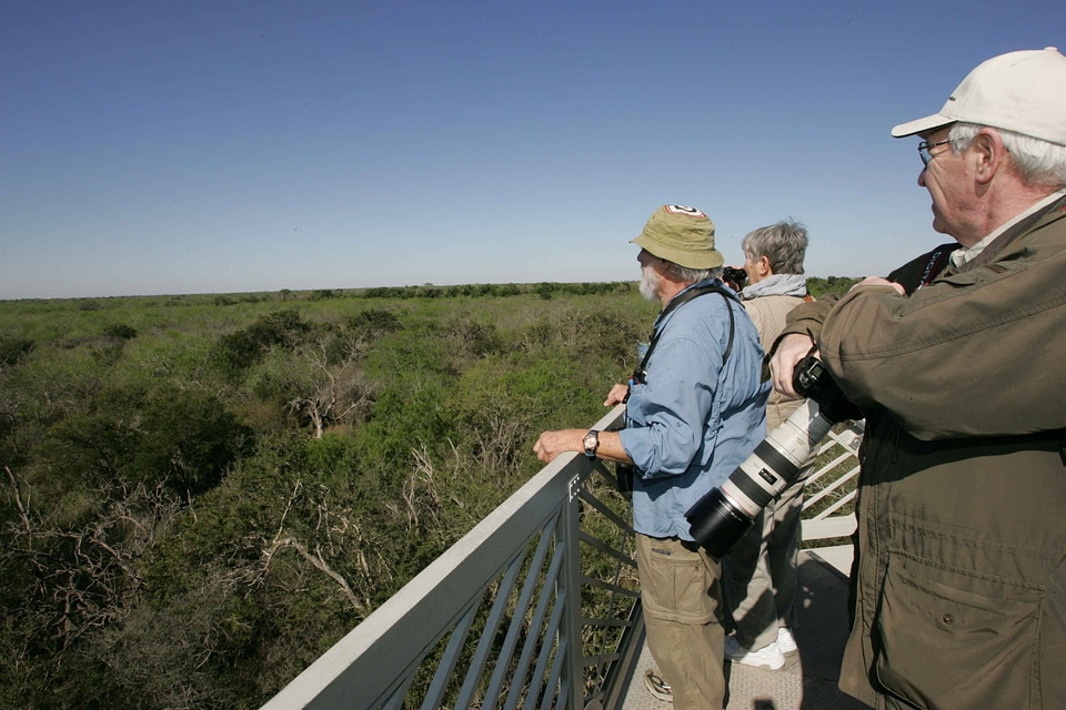 Monitoring sight tower