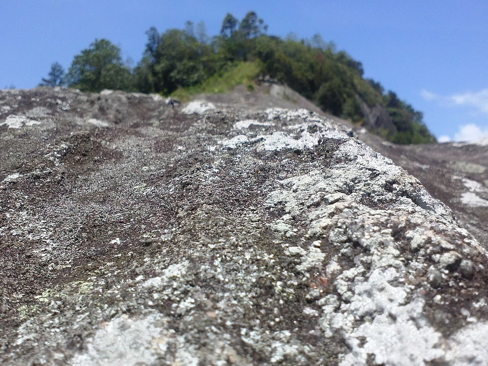 Landscape wilderness scenery