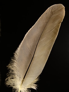 Airy slightly fluffy