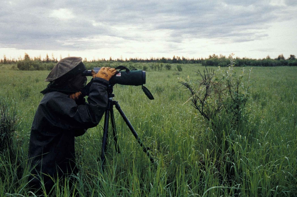 Camera life photographer
