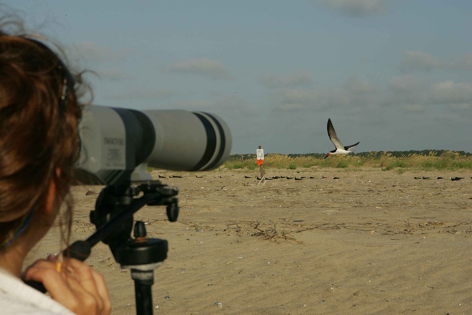 Camera desert photographer