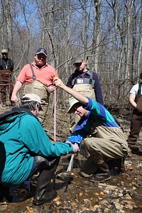 Forest labor people