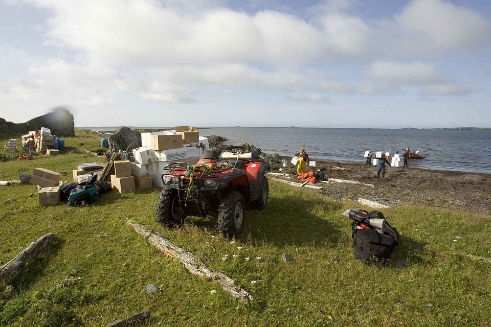 Bearing coast labor