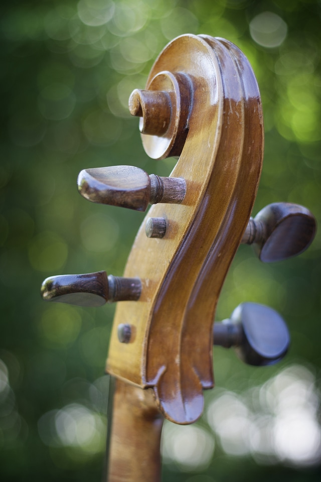 Instrument stringed instrument musical instrument