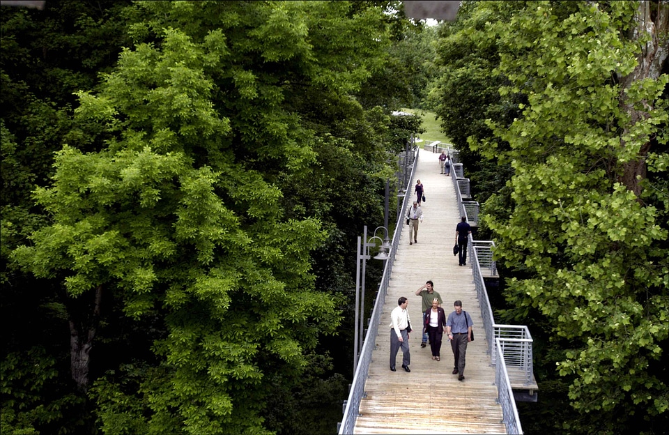Bridge going people