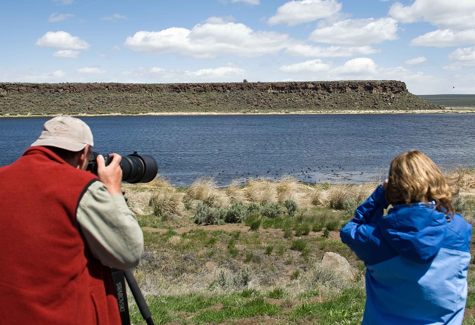 Bird bird watcher observer