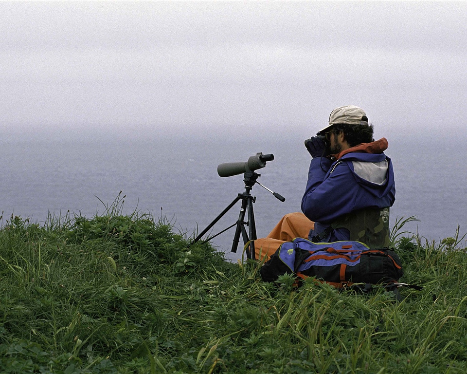 Coast life photographer