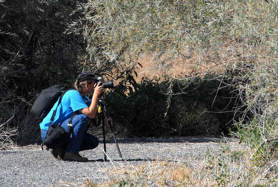 Fauna photographer 