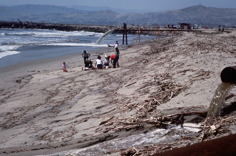 Driftwood people strand