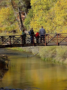 Bridge people 