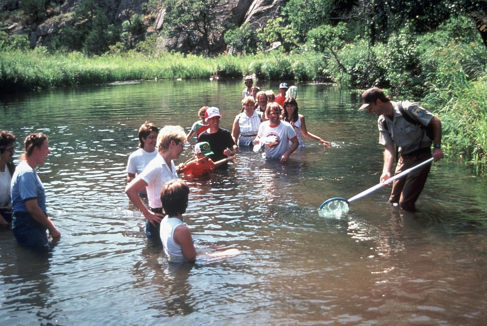 People pond 